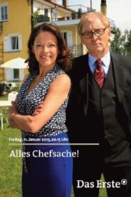 Alles Chefsache! 2013 on netflix