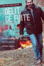 Délit de fuite 2013 on netflix