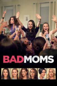 Bad Moms 2016 on netflix
