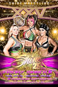SHINE 25 2015 on netflix