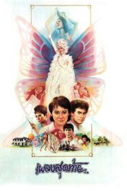 The Last Song 1985 on netflix