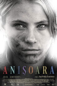 Anishoara 2016 on netflix