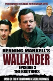 Wallander: The Brothers 2005 on netflix