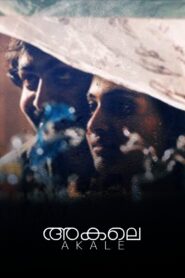 Akale 2004 on netflix