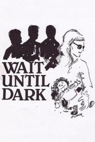 Wait Until Dark 1982 on netflix