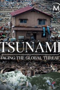 Tsunamis: Facing a Global Threat 2020 on netflix