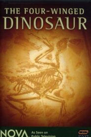 The Four-Winged Dinosaur 2008 on netflix