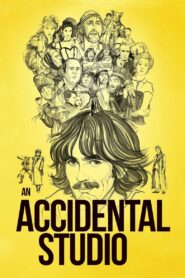 An Accidental Studio 2019 on netflix