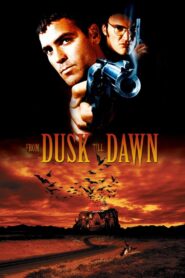 From Dusk Till Dawn 1996 on netflix
