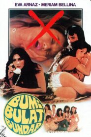 The Earth is Round 1983 on netflix