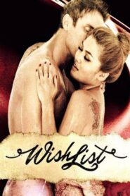 Sexual Wishlist 2014 on netflix