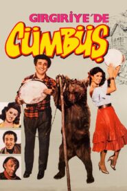 Gırgıriye’de Cümbüş 1983 on netflix
