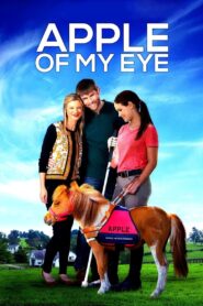 Apple of My Eye 2017 on netflix
