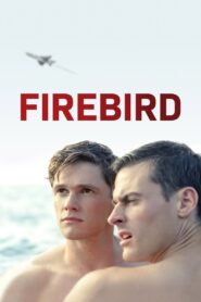 Firebird 2021 on netflix