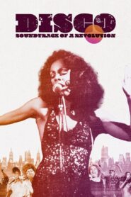 Disco: Soundtrack of a Revolution 2023 on netflix