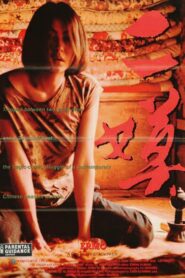 Ermo 1995 on netflix