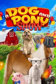 A Dog and Pony Show 2018 on netflix