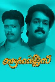 Butterflies 1993 on netflix