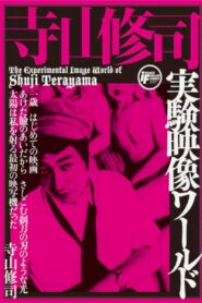 The Experimental Image World of Shuji Terayama 1993 on netflix
