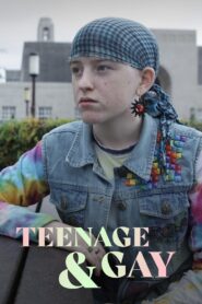 Teenage and Gay 2015 on netflix