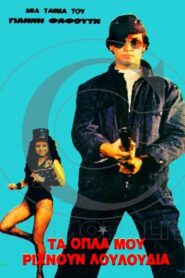 Τα όπλα μου ρίχνουν λουλούδια 1981 on netflix