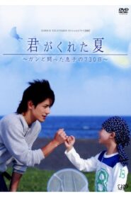 Kimi Ga Kureta Natsu 2007 on netflix