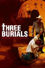 The Three Burials of Melquiades Estrada 2005 on netflix
