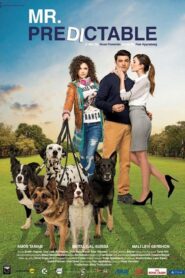 Mr. Predictable 2016 on netflix