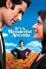 It’s a Wonderful Afterlife 2010 on netflix