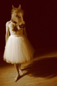 Figs in Motion 2010 on netflix