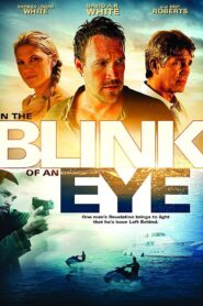 In the Blink of an Eye 2009 on netflix