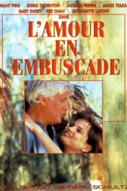 Love in Ambush 1997 on netflix
