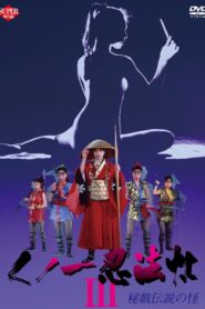 Female Ninjas Magic Chronicles 3: Sacred Book of Sexual Positions 1993 on netflix