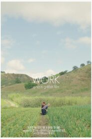 Work 2017 on netflix