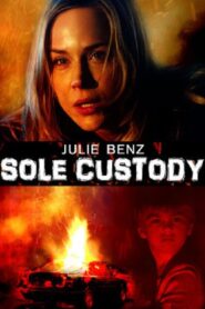 Sole Custody 2014 on netflix