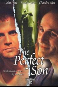 The Perfect Son 2000 on netflix