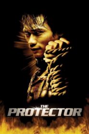 The Protector 2005 on netflix