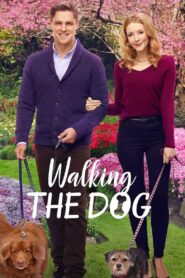 Walking the Dog 2017 on netflix