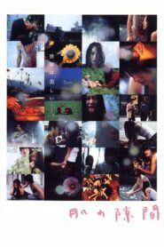 A Gap in the Skin 2005 on netflix