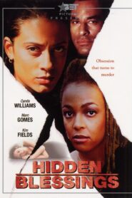 Hidden Blessings 2000 on netflix