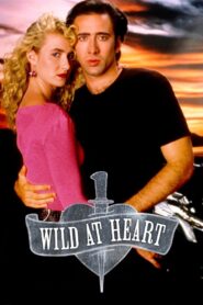 Wild at Heart 1990 on netflix