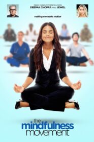 The Mindfulness Movement 2020 on netflix