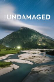 The Undamaged 2018 on netflix