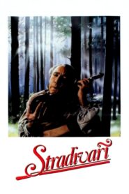 Stradivari 1988 on netflix