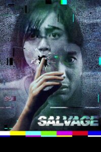 Salvage 2015 on netflix