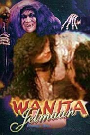 Woman’s Transformation 1990 on netflix