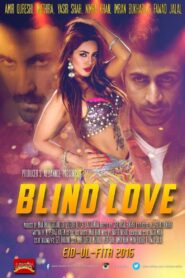 Blind Love 2016 on netflix