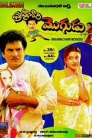 Brahmachari Mogudu 1994 on netflix