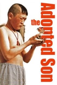 The Adopted Son 1999 on netflix