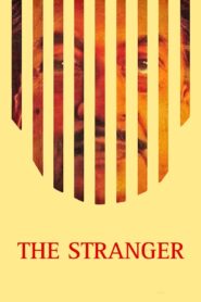 The Stranger 1991 on netflix